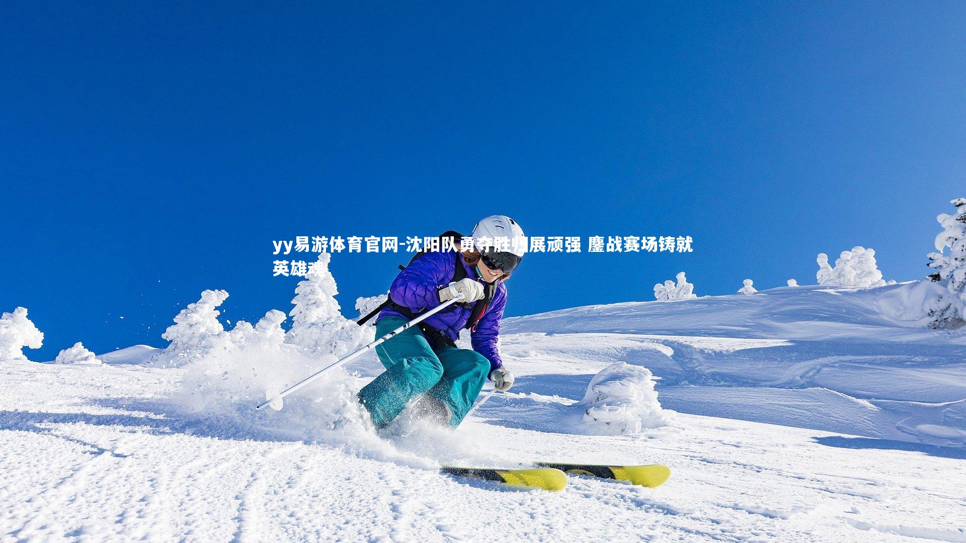 yy易游体育官网-沈阳队勇夺胜归展顽强 鏖战赛场铸就英雄魂
